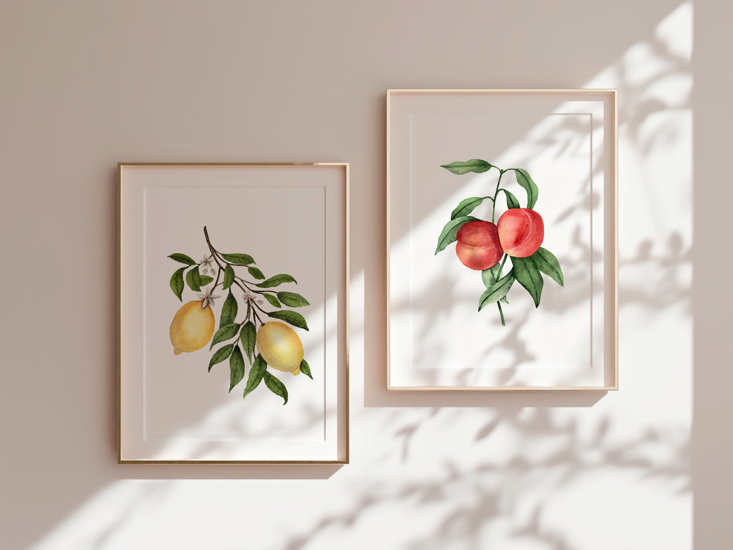 Persica | Vintage Peaches Fine Art Print