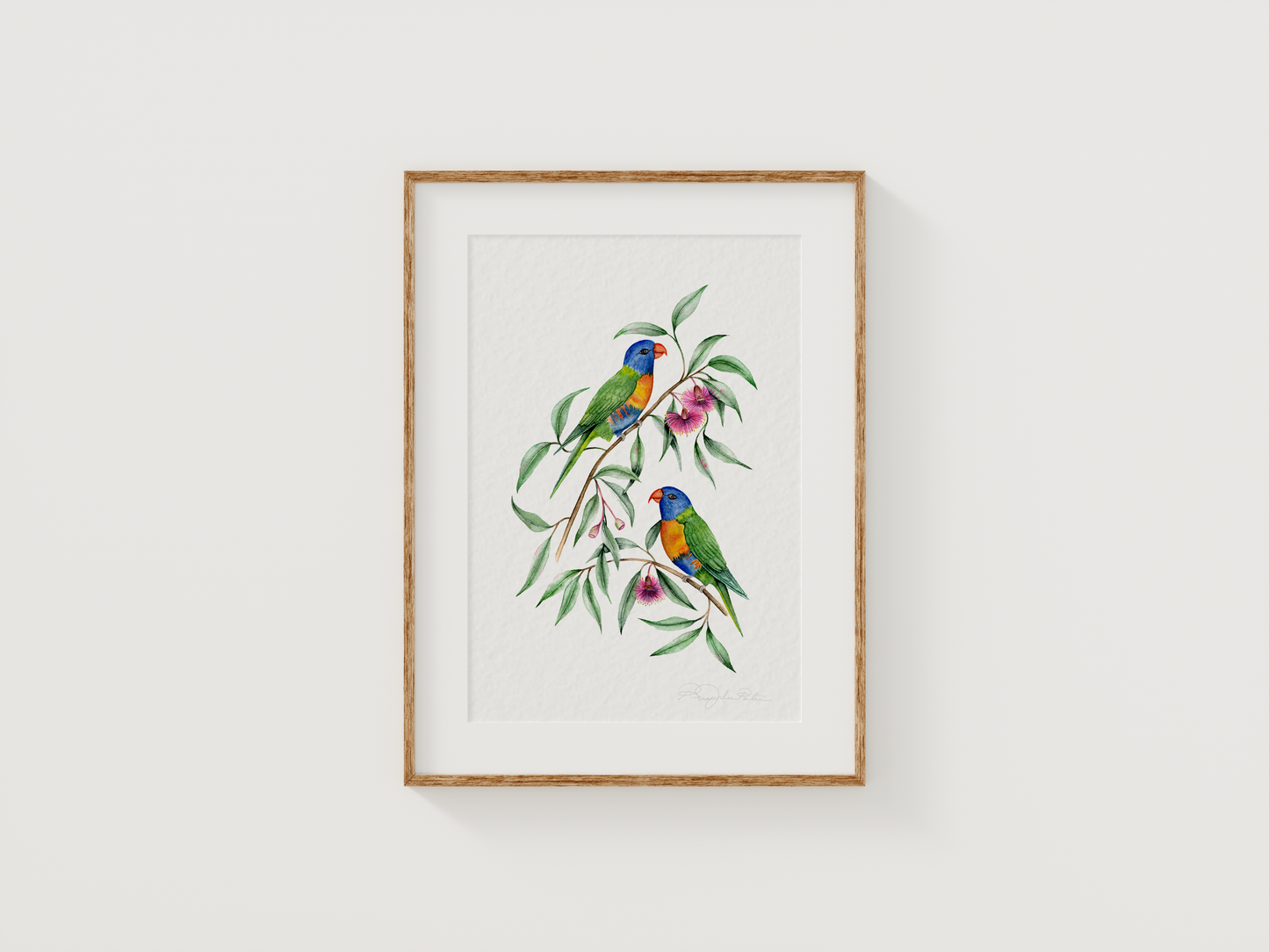 'Iris' Rainbow Lorikeets Fine Art Print