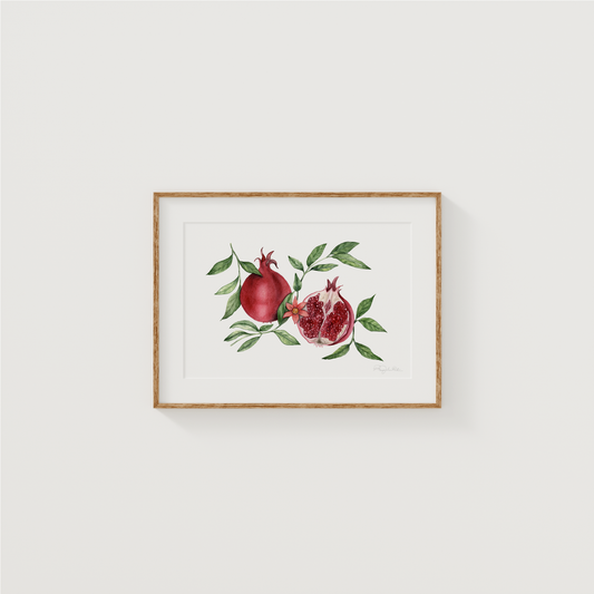 Punica Granatum | Pomegranate Fine Art Print