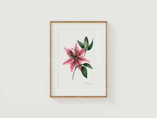 Stargazer Lily | Original Painting