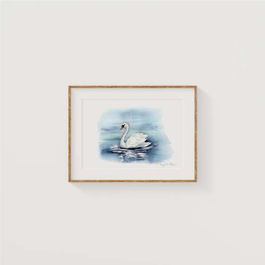 Swan | Original Painting