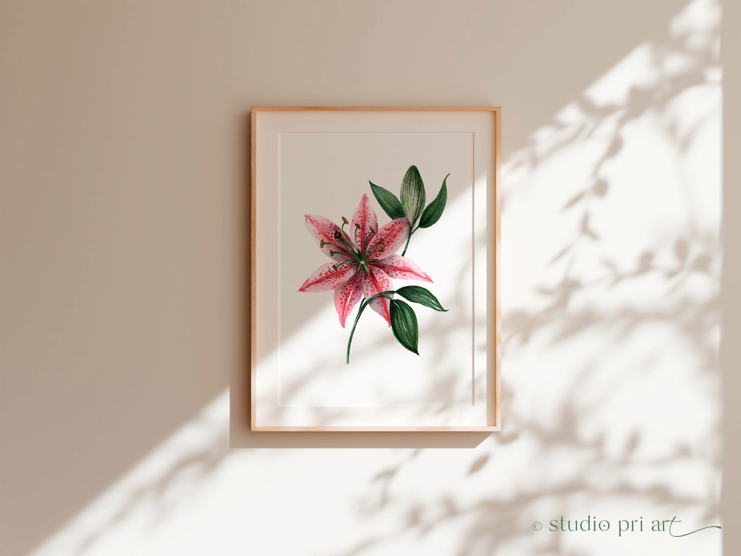 Lilia | Stargazer Lily Fine Art Print