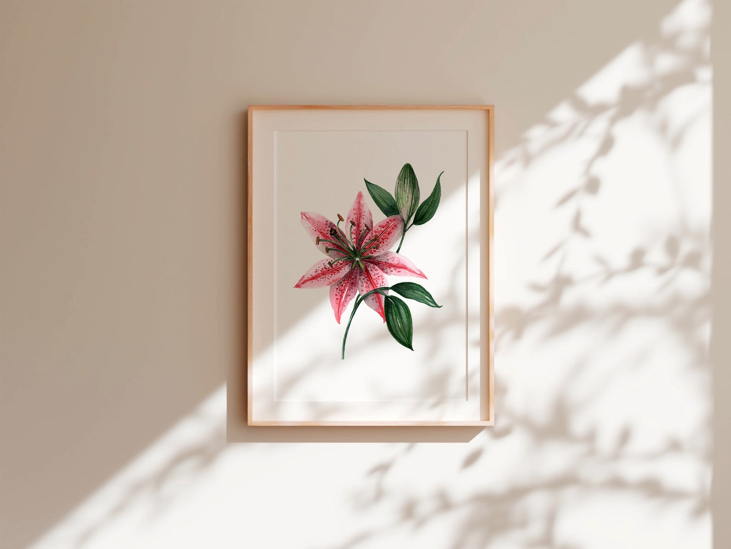 Lilia | Stargazer Lily Fine Art Print