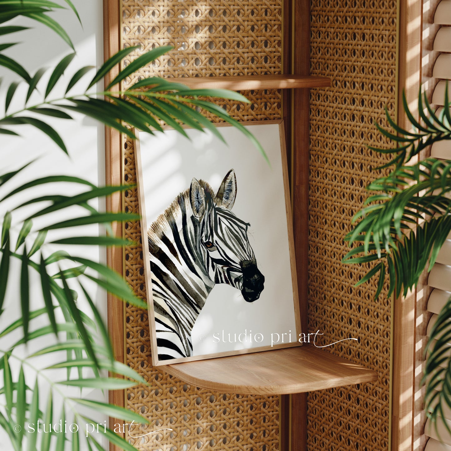 Zahara | Zebra | Limited Edition Fine Art Print