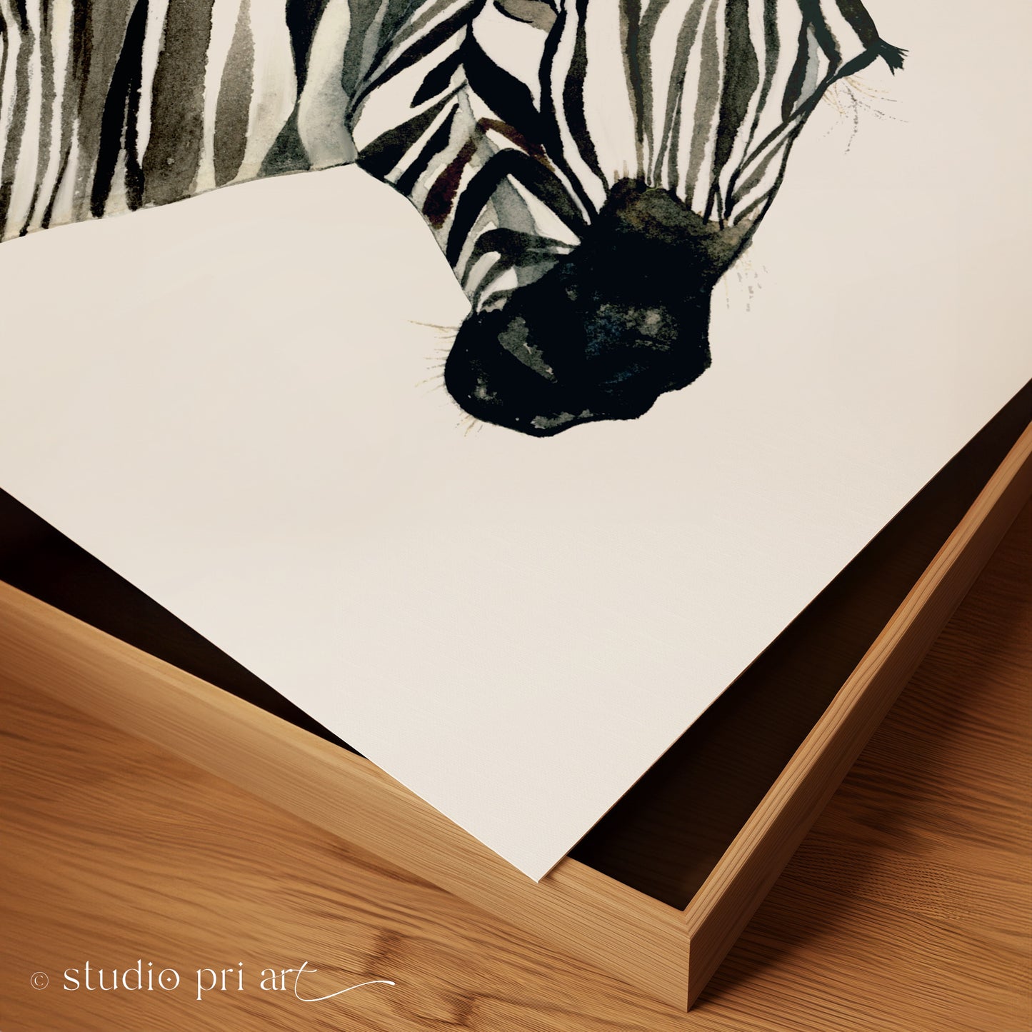 Zahara | Zebra | Limited Edition Fine Art Print